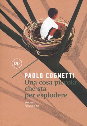 Una cosa piccola che sta per esplodere - Paolo Cognetti - Libro Minimum Fax 2017, Nichel | Libraccio.it