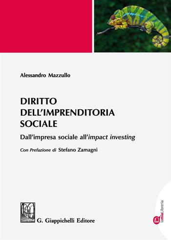 Diritto dell'imprenditoria sociale. Dall'impresa sociale all'«impact investing». Con aggiornamento online - Alessandro Mazzullo - Libro Giappichelli-Linea Professionale 2019 | Libraccio.it