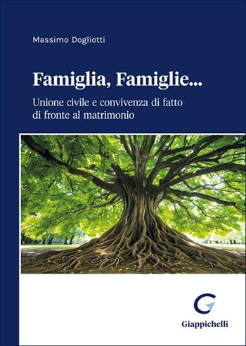 Famiglia, famiglie... Unione civile e convivenza di fatto di fronte al matrimonio - Massimo Dogliotti - Libro Giappichelli 2025 | Libraccio.it