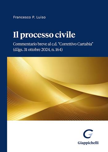 Il processo civile - Francesco Paolo Luiso - Libro Giappichelli 2024 | Libraccio.it