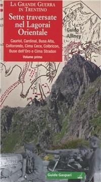 La Grande guerra in Trentino. Vol. 1: Sette traversate nel Lagorai orientale - Guido Alliney - Libro Gaspari 2011, Guide Gaspari | Libraccio.it