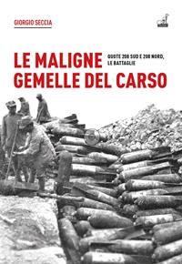 Le maligne gemelle del Carso. Quote 208 Sud e 208 Nord, le battaglie - Giorgio Seccia - Libro Gaspari 2024, Collana storica | Libraccio.it