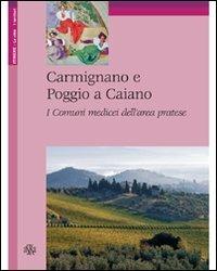 Carmignano e Poggio a Caiano. I comuni medicei dell'area pratese - Rossella Foggi - Libro Aska Edizioni 2009, Itinere | Libraccio.it
