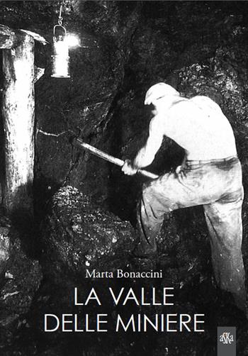 La valle delle miniere - Marta Bonaccini - Libro Aska Edizioni 2015, Storia locale | Libraccio.it