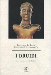 I druidi