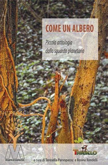 Come un albero. Piccola antologia dallo sguardo planetario  - Libro Marcovalerio 2013, I faggi | Libraccio.it