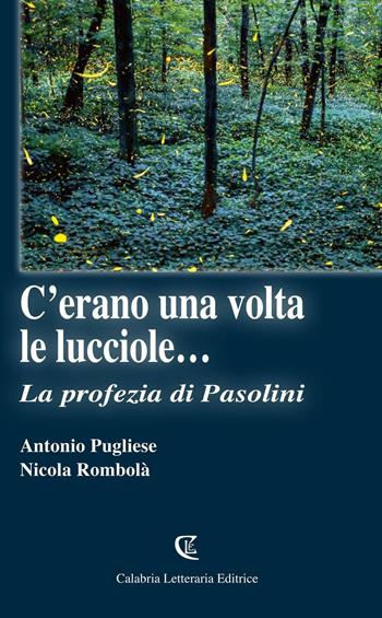 C'erano una volta le lucciole... La profezia di Pasolini - Antonio Pugliese, Nicola Rombolà - Libro Calabria Letteraria 2016 | Libraccio.it