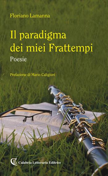 Il paradigma dei miei frattempi - Floriano Lamanna - Libro Calabria Letteraria 2019 | Libraccio.it