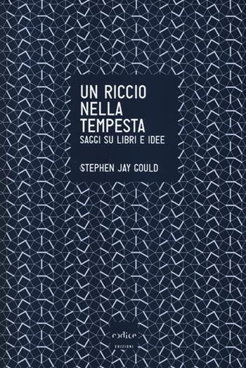 Un riccio nella tempesta. Saggi su libri e idee - Stephen Jay Gould - Libro Codice 2013 | Libraccio.it