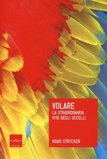 Volare. La straordinaria vita degli uccelli - Noah Strycker - Libro Codice 2017, Le Scienze | Libraccio.it