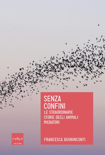 Senza confini. Le straordinarie storie degli animali migratori - Francesca Buoninconti - Libro Codice 2019 | Libraccio.it