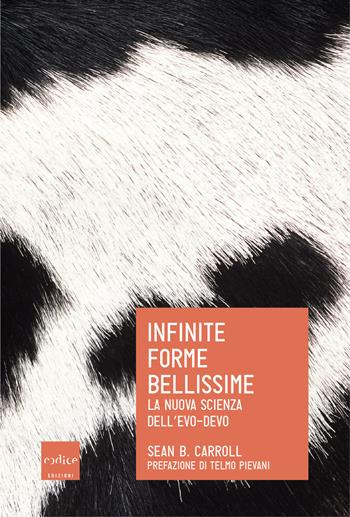 Infinite forme bellissime. La nuova scienza dell'Evo-Devo - Sean B. Carroll - Libro Codice 2019 | Libraccio.it