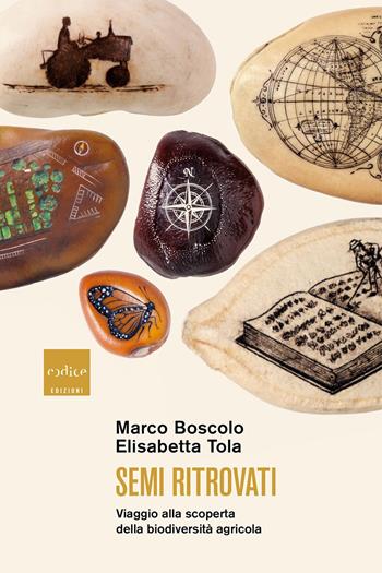 Semi ritrovati. Viaggio alla scoperta della biodiversità agricola - Marco Boscolo, Elisabetta Tola - Libro Codice 2020 | Libraccio.it
