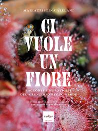 Ci vuole un fiore. Racconti e meraviglie del silenzioso regno verde. Ediz. a colori - Mariacristina Villani, Maria Cristina - Libro Codice 2021 | Libraccio.it