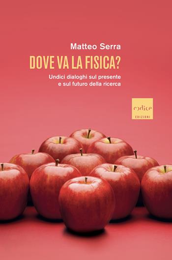 Dove va la fisica? Undici dialoghi sul presente e sul futuro della ricerca - Matteo Serra - Libro Codice 2022 | Libraccio.it