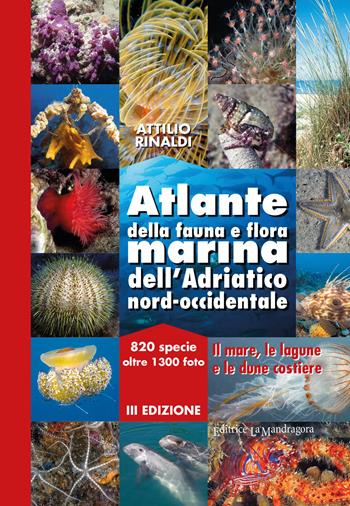 Atlante della fauna e flora marina dell'Adriatico nord-occidentale - Attilio Rinaldi - Libro La Mandragora Editrice 2017, Subacquea | Libraccio.it