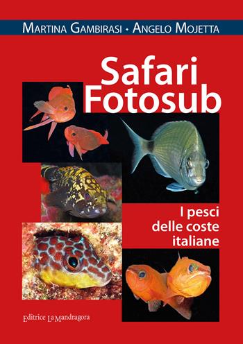 Safari fotosub. I pesci delle coste italiane. Ediz. illustrata - Martina Gambirasi, Angelo Mojetta - Libro La Mandragora Editrice 2021, Subacquea | Libraccio.it