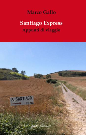 Santiago Express. Appunti di viaggio - Marco Gallo - Libro Petite Plaisance 2020 | Libraccio.it