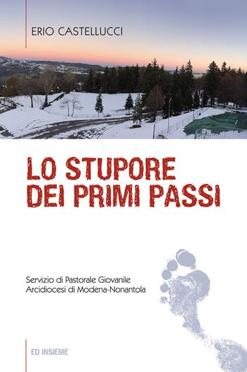 Lo stupore dei primi passi - Erio Castellucci - Libro Ed Insieme 2016, Diario di bordo | Libraccio.it