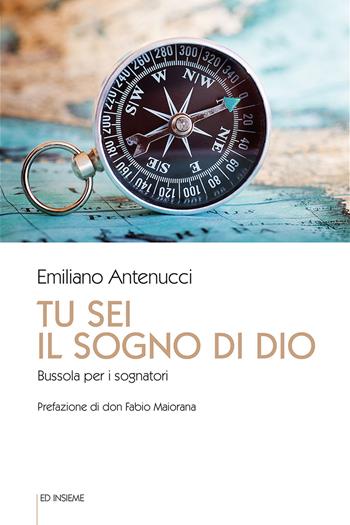 Tu sei il sogno di Dio. Bussola per i sognatori - Emiliano Antenucci - Libro Ed Insieme 2020, Spiritualità oggi | Libraccio.it