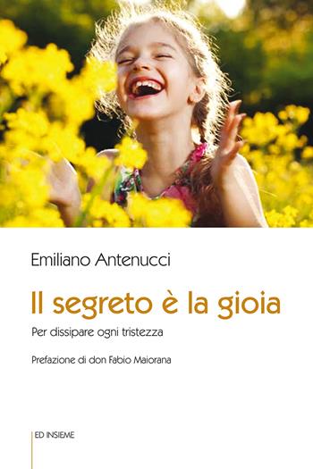 Il segreto è la gioia. Per dissipare ogni tristezza - Emiliano Antenucci - Libro Ed Insieme 2021, Sentieri | Libraccio.it