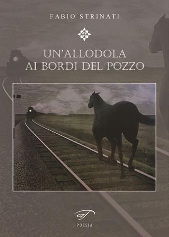 Un' allodola ai bordi del pozzo - Fabio Strinati - Libro Ass. Culturale Il Foglio 2015, Poesia | Libraccio.it