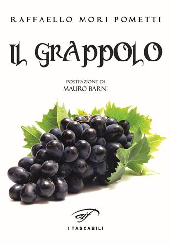Il grappolo - Raffaello Mori Pometti - Libro Il Foglio Letterario Edizioni 2016, I tascabili | Libraccio.it