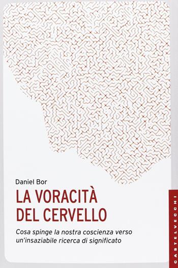 La voracità del cervello. Cosa spinge la nostra coscienza verso un'insaziabile ricerca del significato - Daniel Bor - Libro Castelvecchi 2013, Le Navi | Libraccio.it