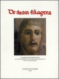Il Cristo di Petrognano. Un capolavoro della scultura lignea medievale sulla via Francigena  - Libro Firenzelibri 2012, De Strata Francigena | Libraccio.it