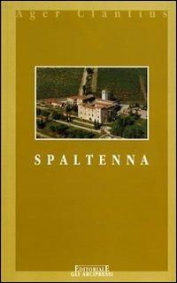 Spaltenna. (La Pieve e il suo piviere) - Renato Stopani - Libro Firenzelibri 2001, Gli Arcipressi | Libraccio.it