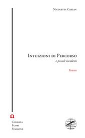 Intuizioni di percorso e piccoli incidenti