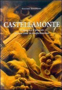 Castellamonte. Il passato e il presente di una città in trasformazione - Giacomo Antoniono - Libro Le Château Edizioni 2006, Cossavellalessi | Libraccio.it