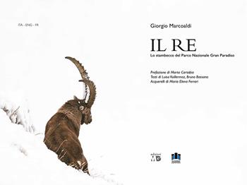 Il Re. Lo stambecco del Parco Nazionale Gran Paradiso. Ediz. multilingue - Giorgio Marcoaldi - Libro Le Château Edizioni 2022 | Libraccio.it