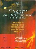 Ci sono fiori che fioriscono al buio. Antologia della poesia italiana dagli anni Settanta a oggi  - Libro Sperling & Kupfer 1997, Frassinelli narrativa italiana | Libraccio.it