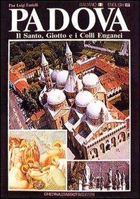 Padova, il Santo, Giotto e i colli Euganei-Padua, the Basilica, Giotto and the Euganeans hills - Pierluigi Fantelli - Libro Tassotti 1990, Fotografici e guide del Veneto | Libraccio.it