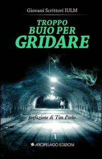 Troppo buio per gridare  - Libro Arcipelago Edizioni 2012, Giovani scrittori IULM | Libraccio.it