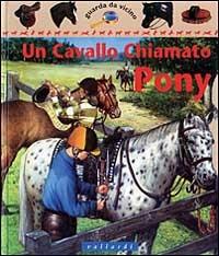 Un cavallo chiamato pony - Jackie Budd - Libro Vallardi Industrie Grafiche 2001, Guarda da vicino | Libraccio.it