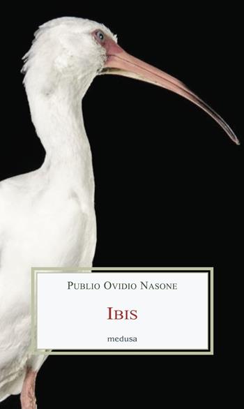 Ibis - P. Nasone Ovidio - Libro Medusa Edizioni 2023, Le porpore | Libraccio.it