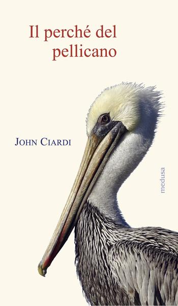 Il perché del pellicano - John Ciardi - Libro Medusa Edizioni 2024, Rhythmós | Libraccio.it