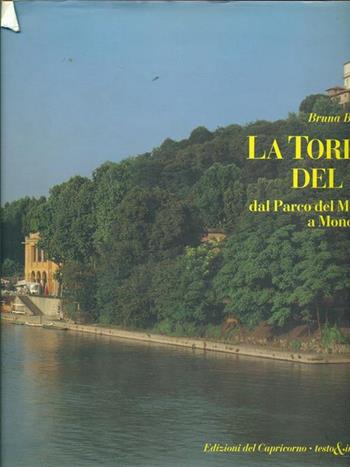 La Torino del Po - Bruna Biamino - Libro Edizioni del Capricorno 1993 | Libraccio.it