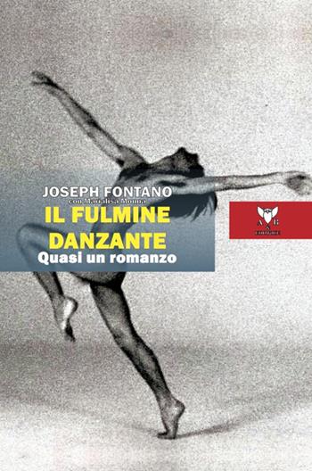 Il fulmine danzante. Quasi un romanzo - Joseph Fontano - Libro A & B 2022, Sguardi | Libraccio.it