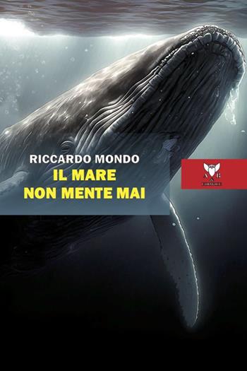 Il mare non mente mai - Riccardo Mondo - Libro A & B 2023, Eliconea | Libraccio.it