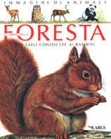 Gli animali della foresta