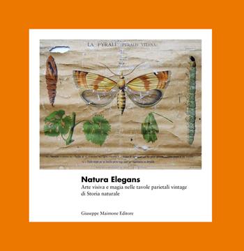 Natura elegans. Arte visiva e magia nelle tavole parietali vintage di Storia naturale. Ediz. illustrata  - Libro Maimone 2019 | Libraccio.it