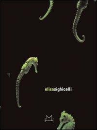 Elisa Sighicelli. Ediz. italiana e inglese - Francesco Bernardelli, Stephen Hepworth - Libro Hopefulmonster 2007 | Libraccio.it