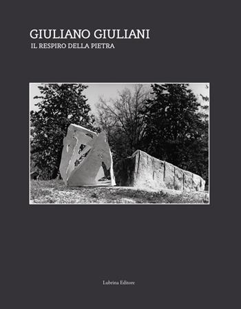 Giuliano Giuliani. Il respiro della pietra - Mariano Apa, Paola Bonani, Fabrizio D'Amico - Libro Lubrina Bramani Editore 2014, Arte moderna e contemporanea | Libraccio.it