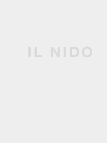 Il nido. Ediz. illustrata - Gualtiero Oberti, Lucia Oberti - Libro Lubrina Bramani Editore 2019, Arte e letteratura. Testi, studi e ricer. | Libraccio.it