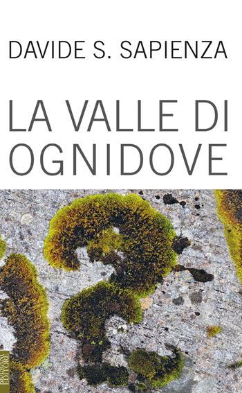 La valle di ognidove - Davide Sapienza - Libro Lubrina Bramani Editore 2022 | Libraccio.it