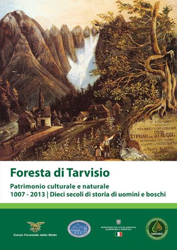 Foresta di Tarvisio. Patrimonio cuturale e naturale 1007-2013. Dieci secoli di storia di uomini e boschi  - Libro Aviani & Aviani editori 2016 | Libraccio.it