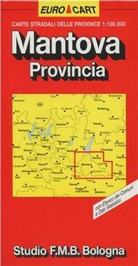 Mantova 1:100.000  - Libro Studio FMB Bologna 1993, Euro Cart | Libraccio.it